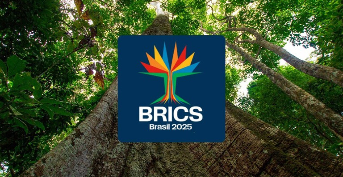 Nyilvánossá vált az idei BRICS-csúcstalálkozó menetrendje