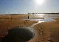 A brazil folyók több mint fele kiszáradóban van
