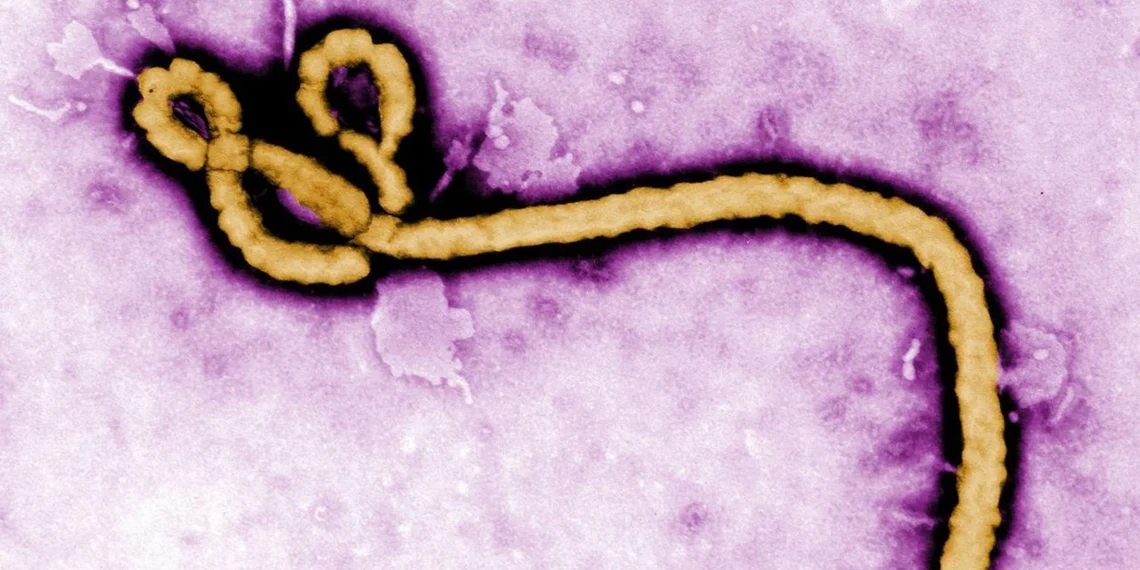 Áttörés az Ebola elleni küzdelemben