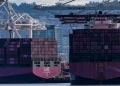 Vámháború: Csúnyám visszaesett az amerikai import Kínában