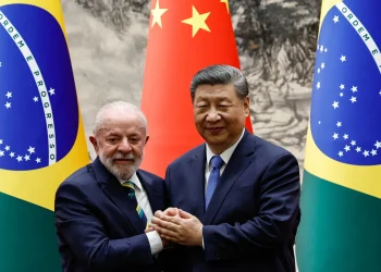 Brazília pandakötvényt bocsáthat ki még az idén