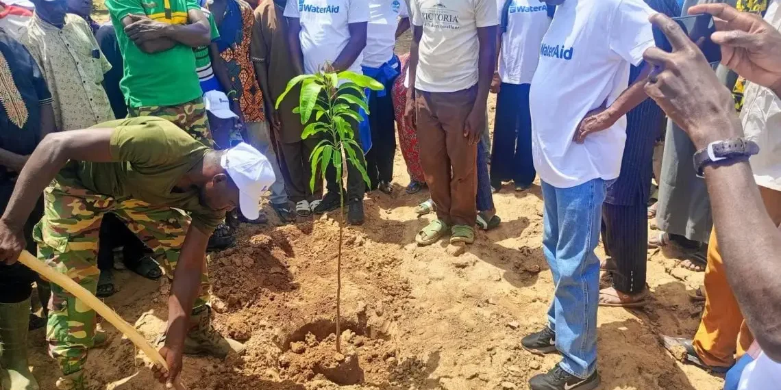 Ötmillió fát ültettek el Burkina Fasóban, de a cél ennél is több