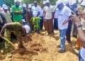 Ötmillió fát ültettek el Burkina Fasóban, de a cél ennél is több