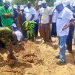 Ötmillió fát ültettek el Burkina Fasóban, de a cél ennél is több