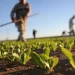Irán és Venezuela a fenntartható mezőgazdaságért