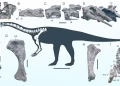 Őslénytani szenzáció: 200 millió éves dinoszaurusz Kínában