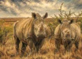 Megmenthetőek az afrikai orrszarvúak?