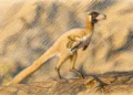 Argentína apró dinoszaurusza átírhatja az evolúciót
