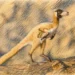 Argentína apró dinoszaurusza átírhatja az evolúciót