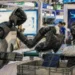 Kína százezer humanoid robottal gyorsítaná fel az ipari forradalmat