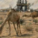 Líbiával kerülné meg az energiaválságot Egyiptom