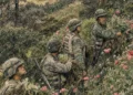 Latin-Amerika hadat üzen a kartelleknek
