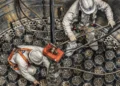 India már a negyedik generációs atomenergiáról tárgyal Oroszországgal